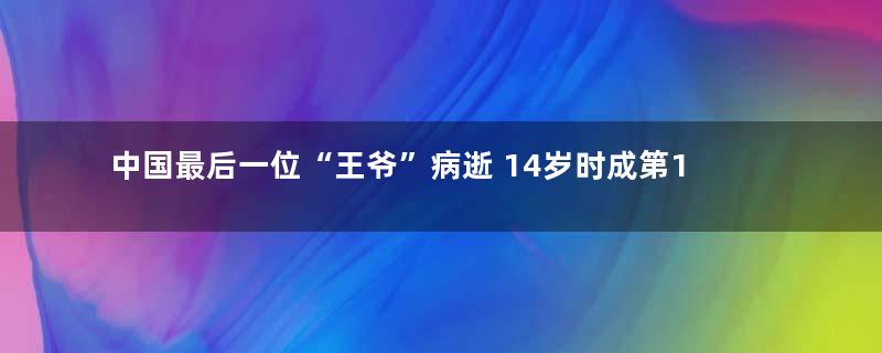 中国最后一位“王爷”病逝 14岁时成第12代库车王